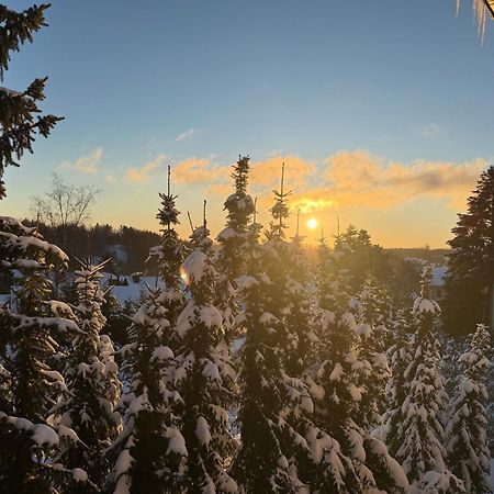 Ferienwohnung Harzer Traum - frisch renoviert, inklusive Wäsche und WLAN Braunlage Exterior foto